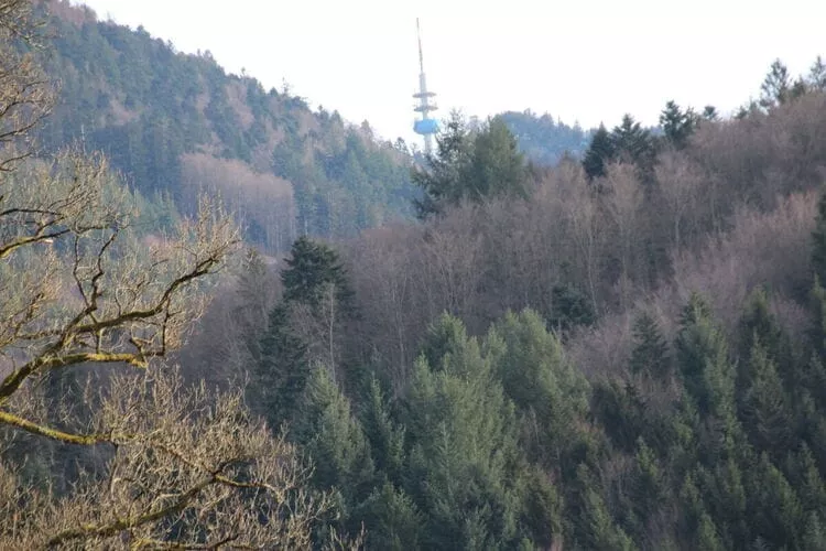 289714-View