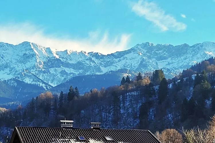 257876-View