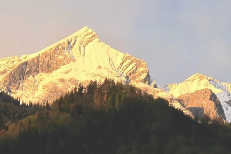 257876-View