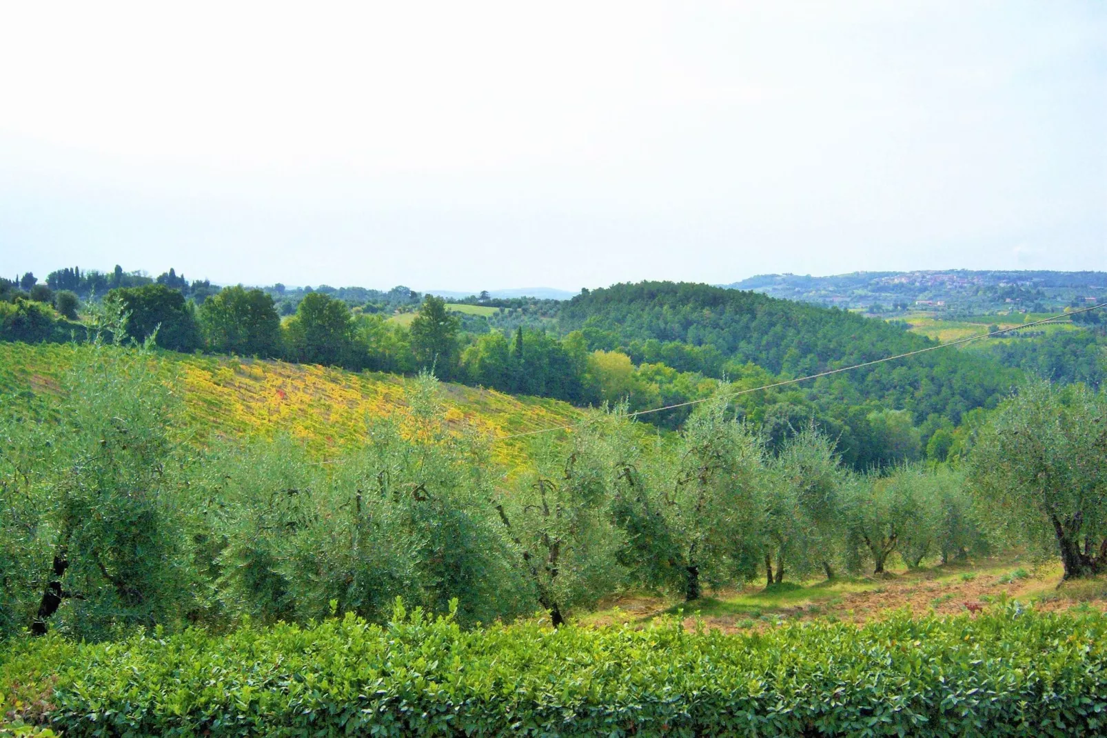 Il Poggiale-apt 9-Areas summer 1km