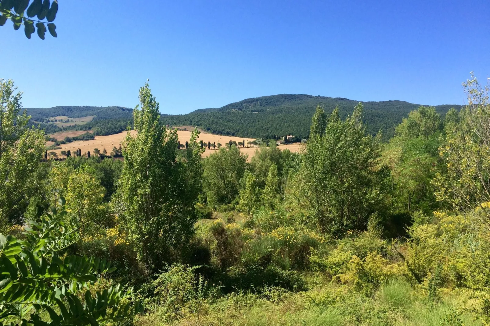 Il Poggiale-apt 9-Areas summer 20km