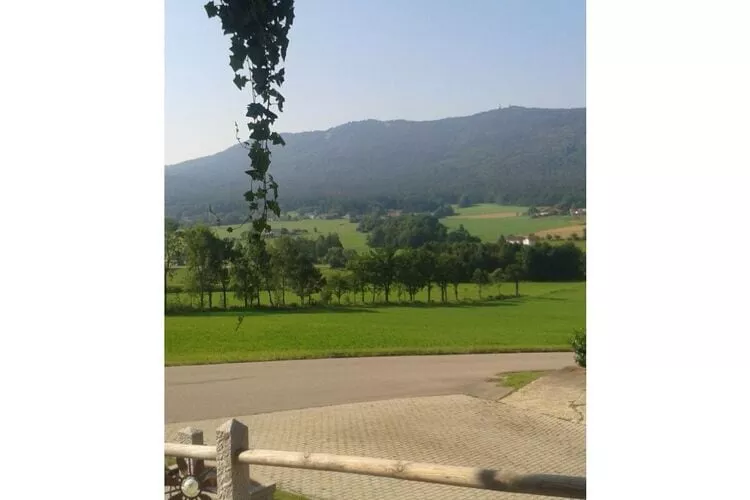 296660-View