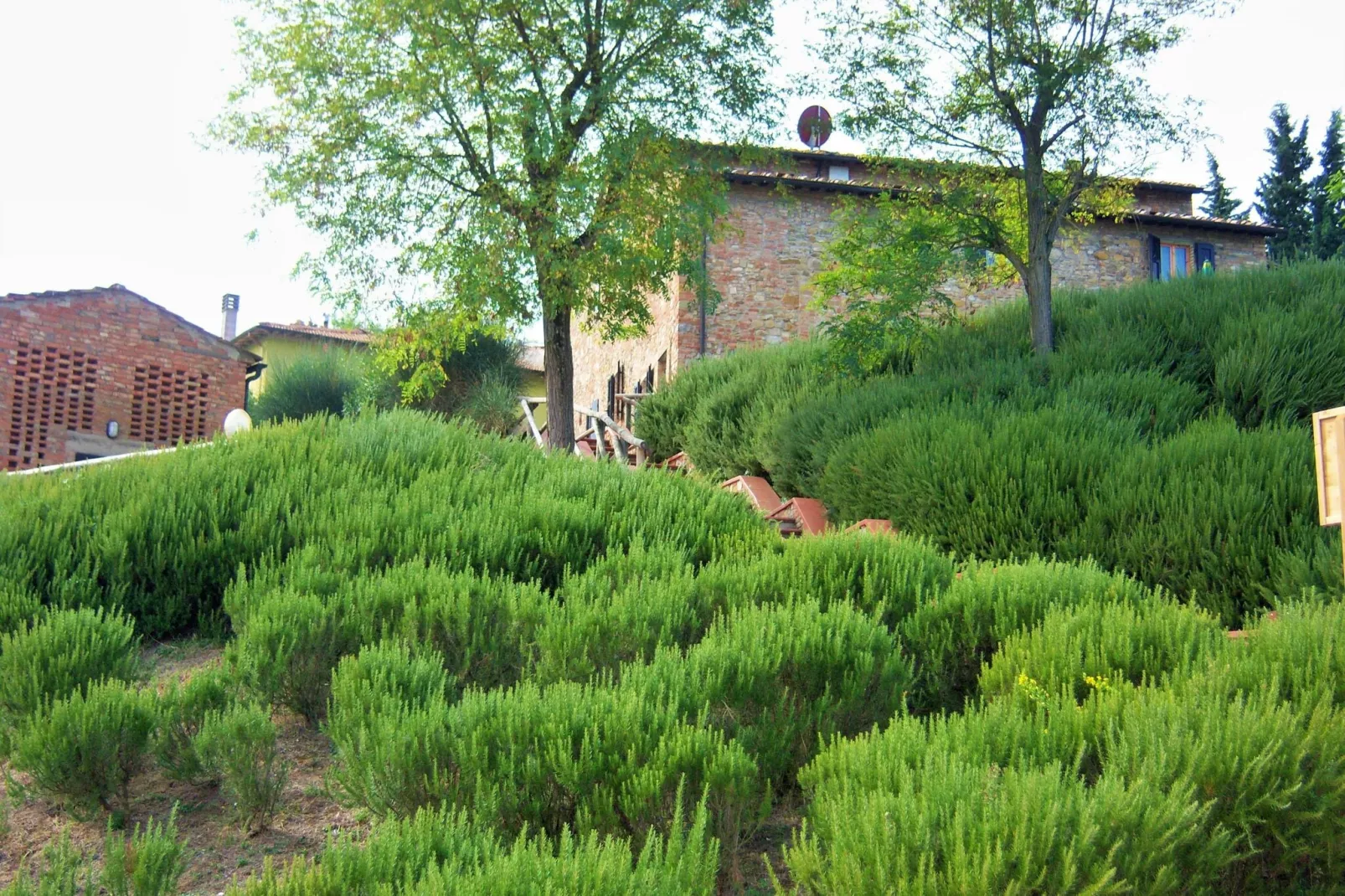 Il Poggiale-apt 9-Exterior summer
