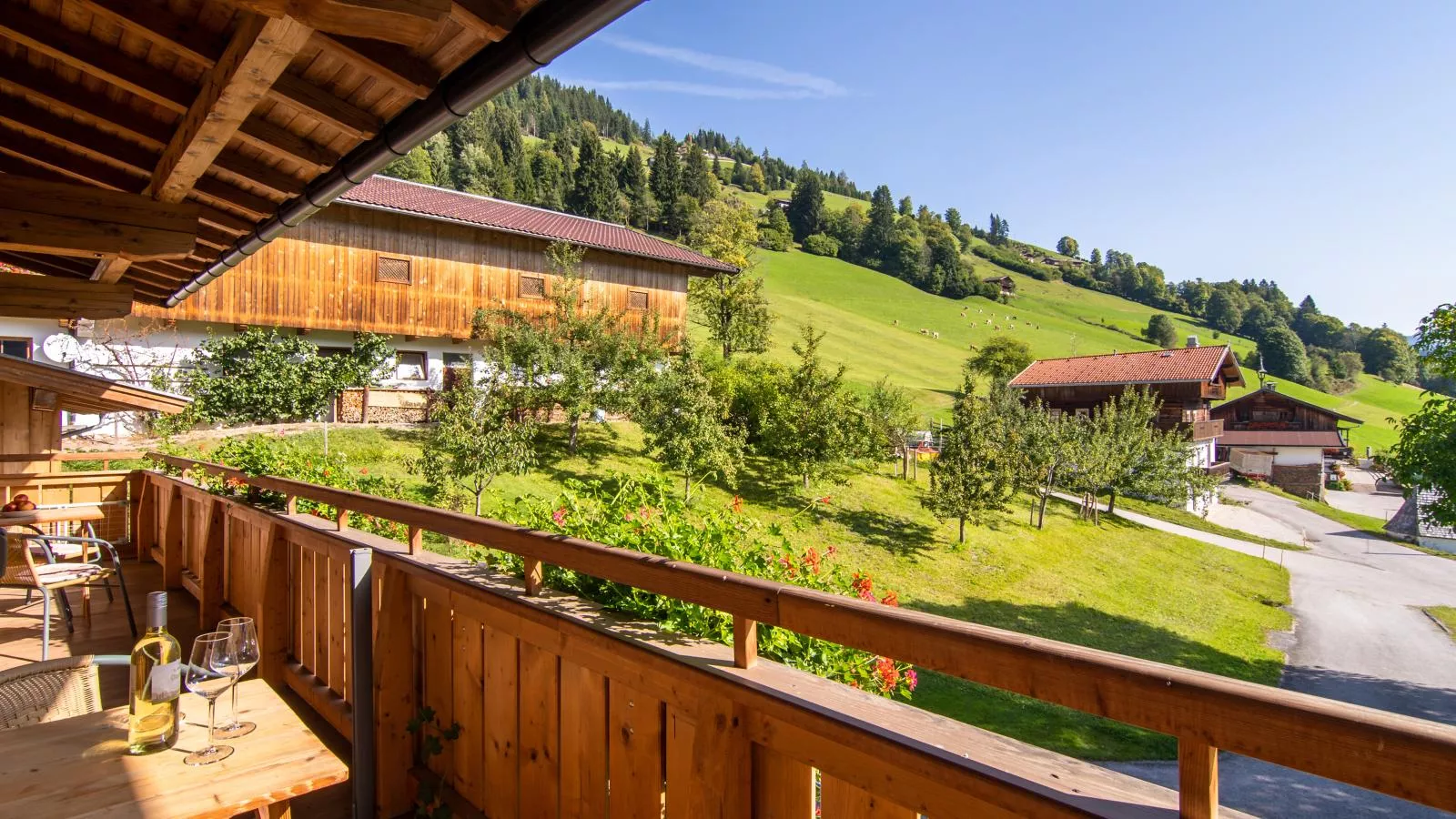 Anderla 2-Terrace balcony