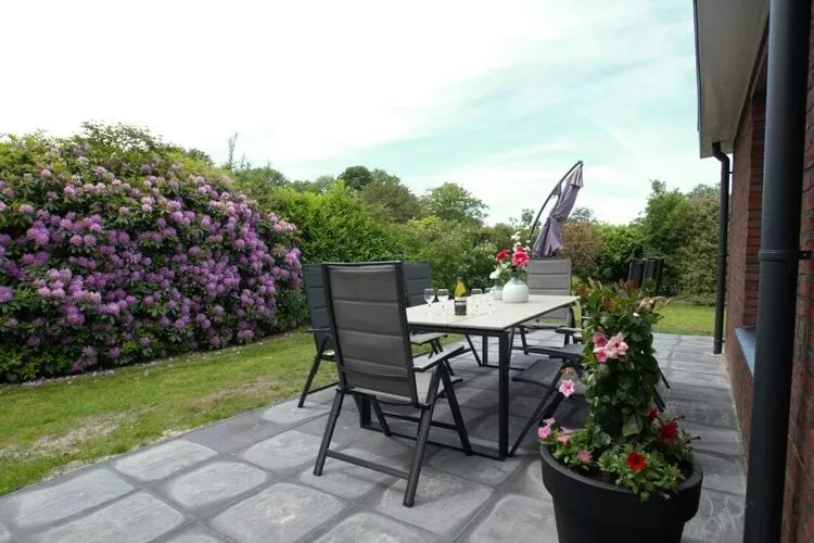 298239-Terrasse