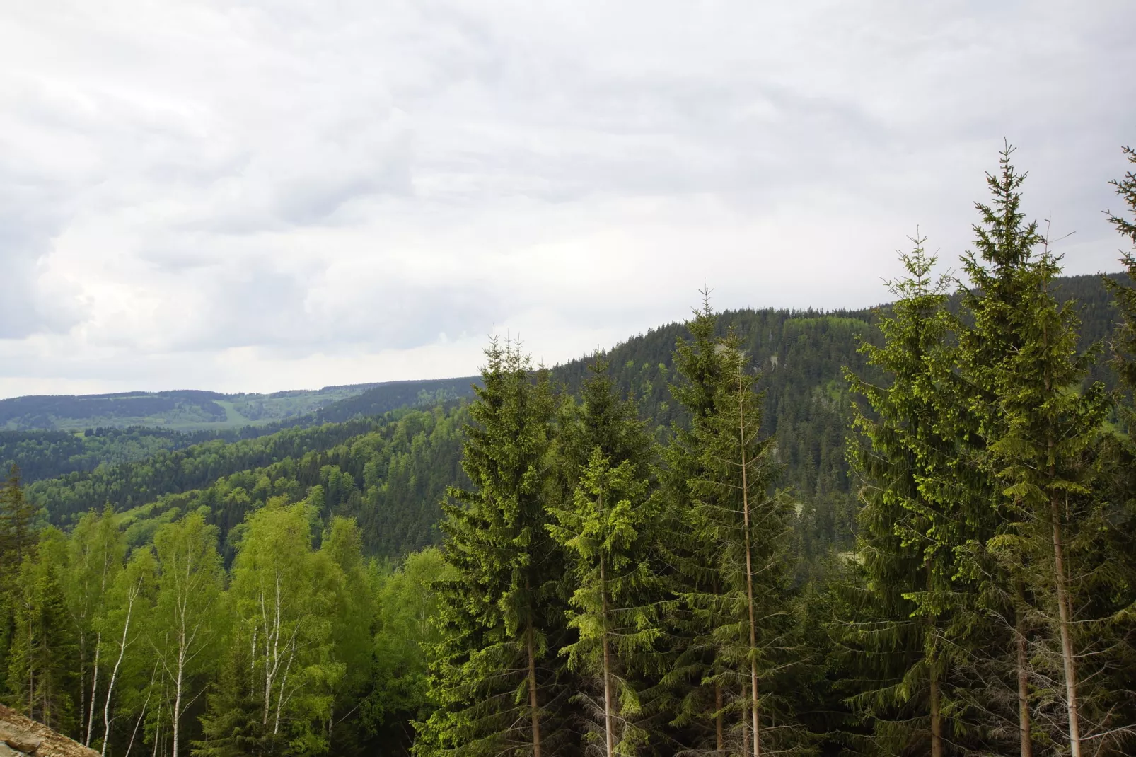Cornelis-Areas summer 20km