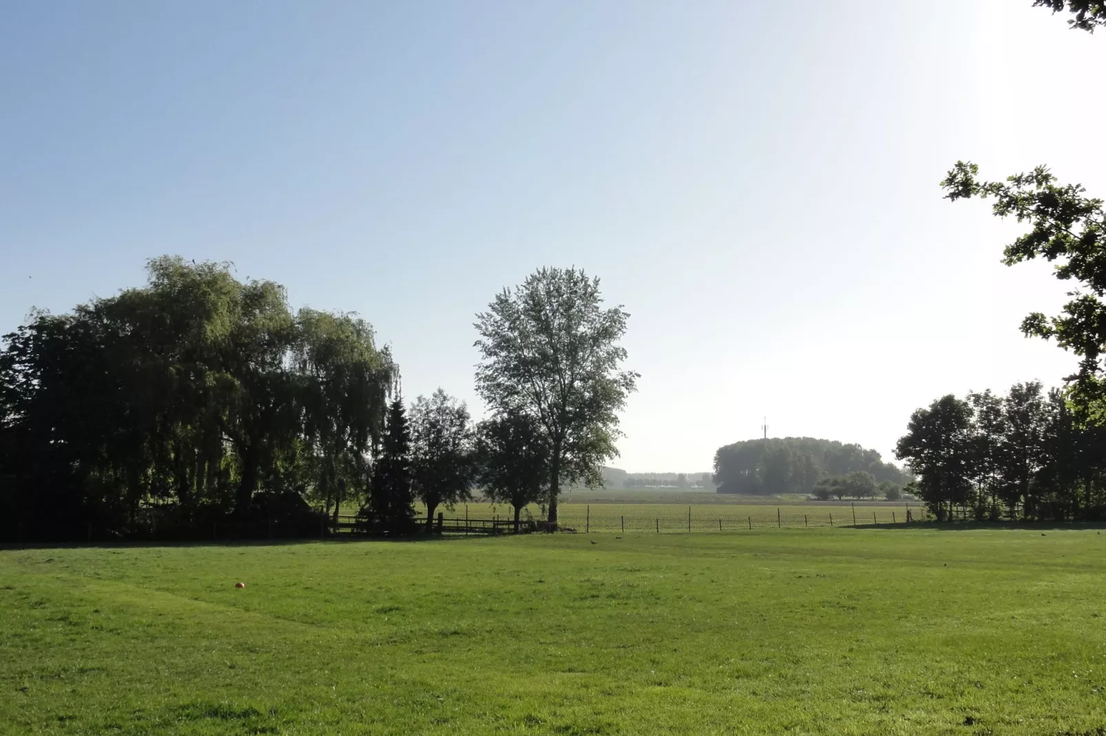 Houck-View summer