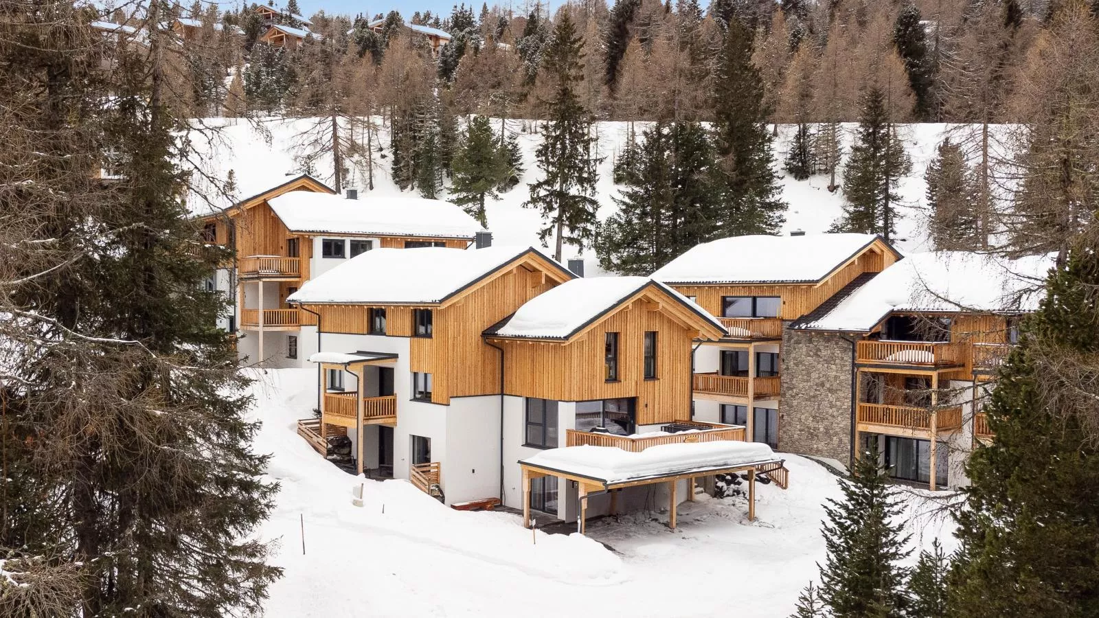 Wanderlust Mountain Chalet-Exterior winter