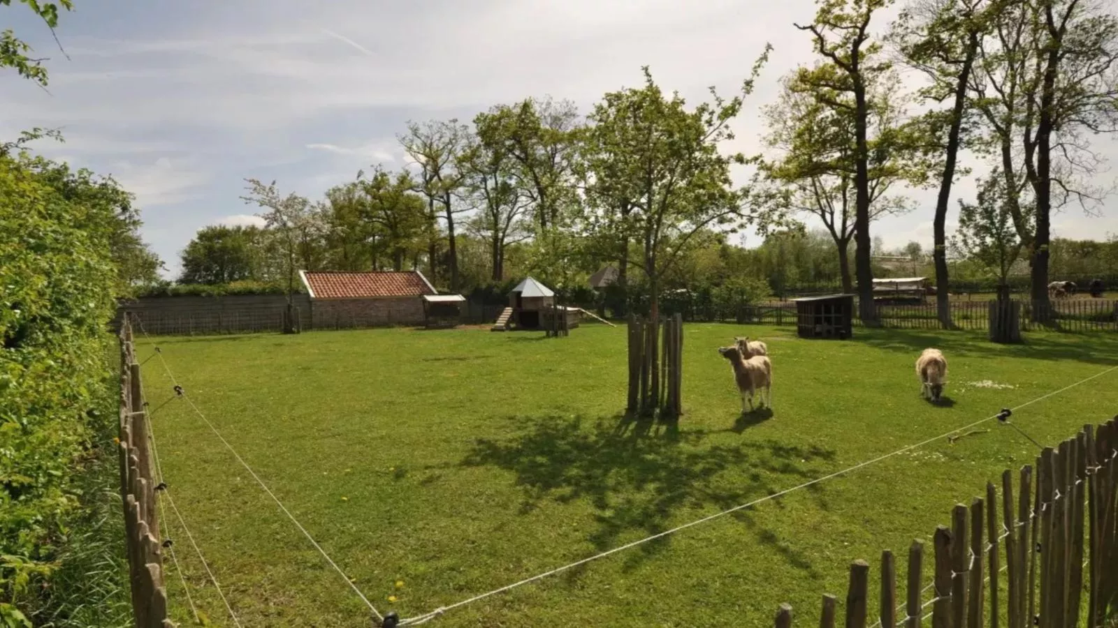 Gastenverblijf Prinsensteeg-View summer
