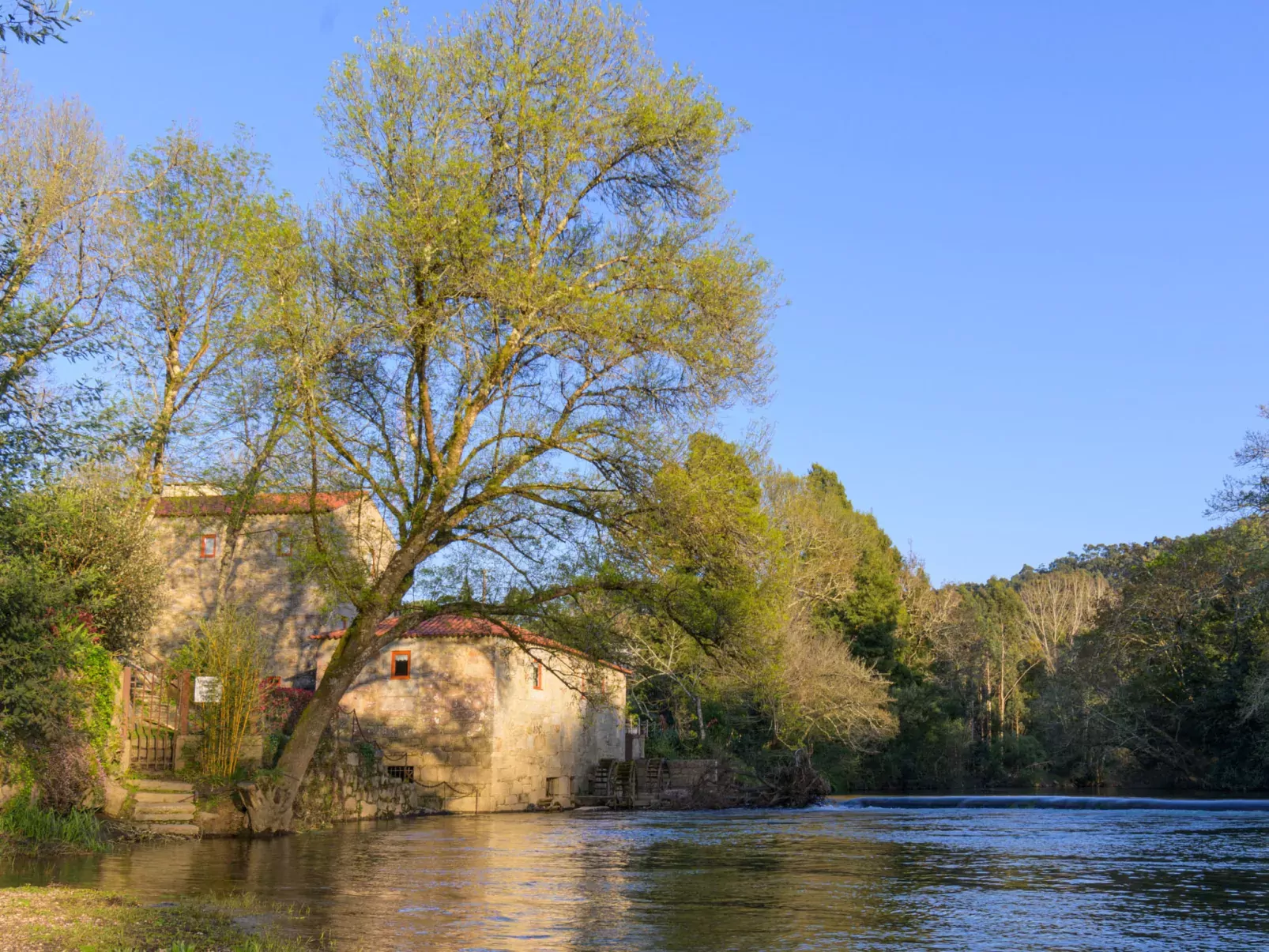 Pedra-Dehors