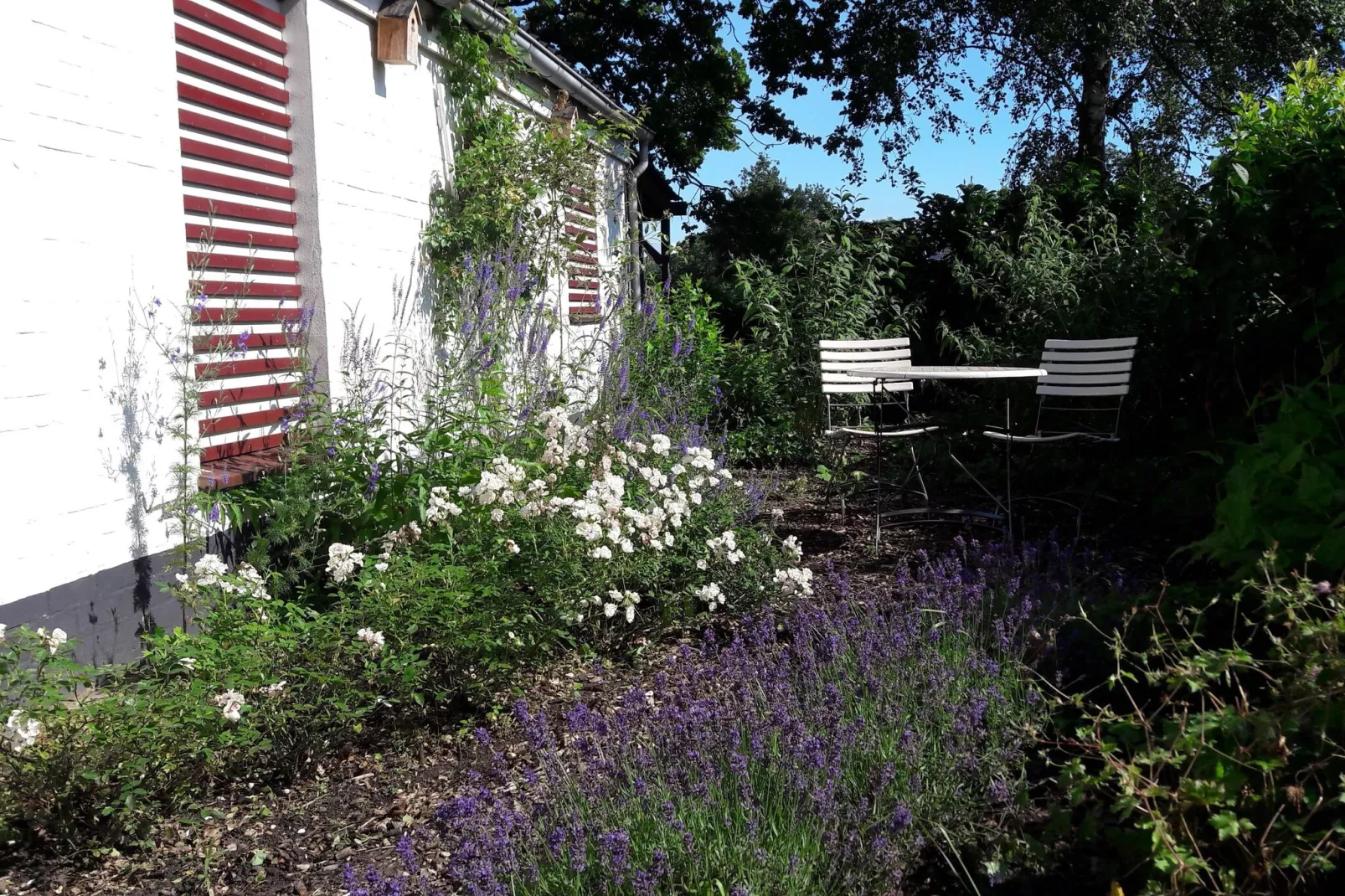 Houck-Gardens summer