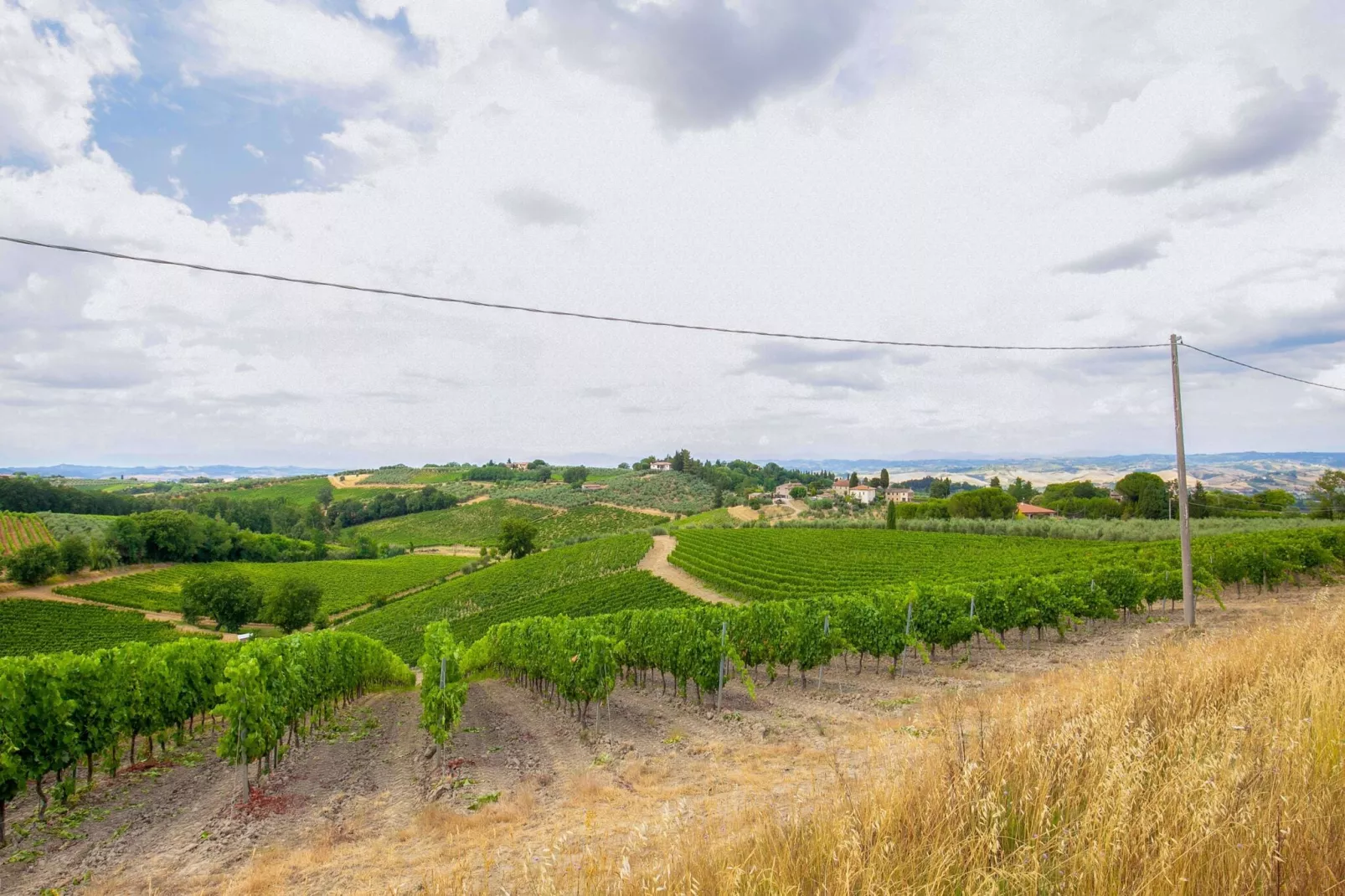 Il Poggiale-app6-Areas summer 5km