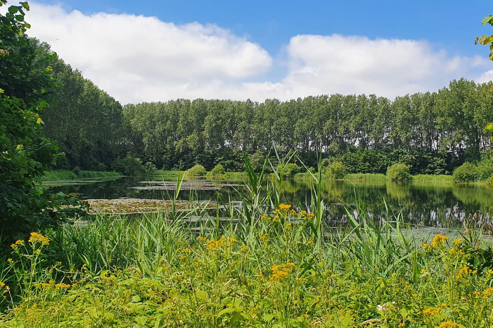 Houck-Areas summer 1km