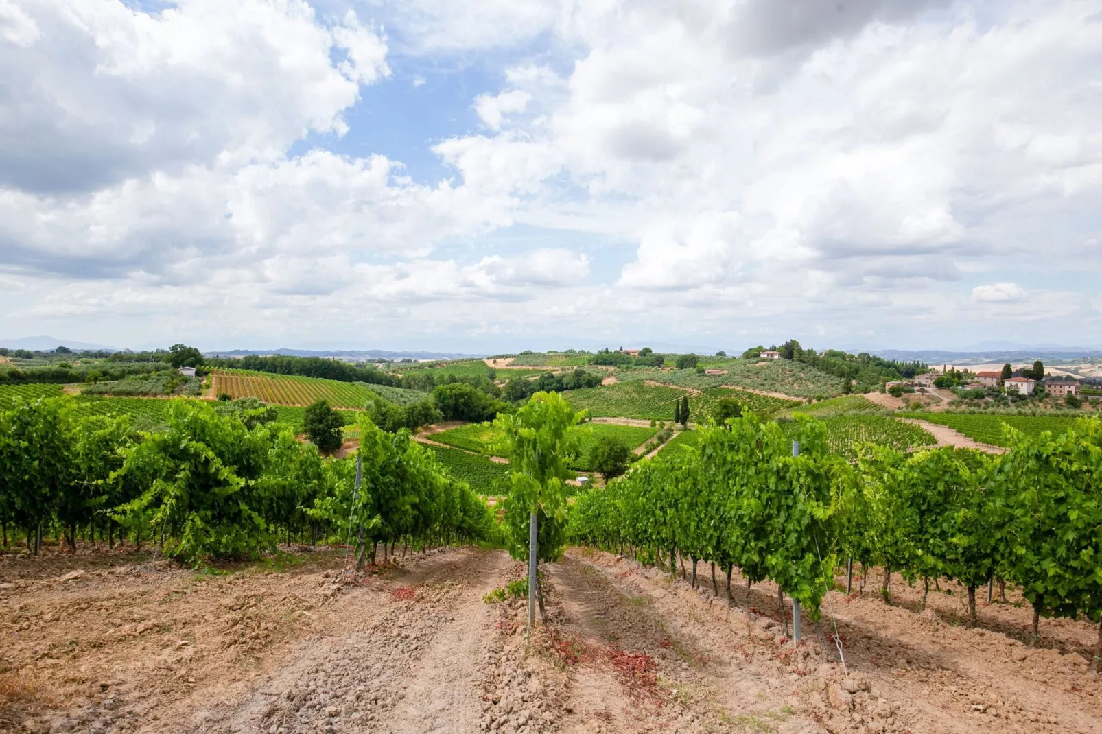 Il Poggiale-app6-Areas summer 5km
