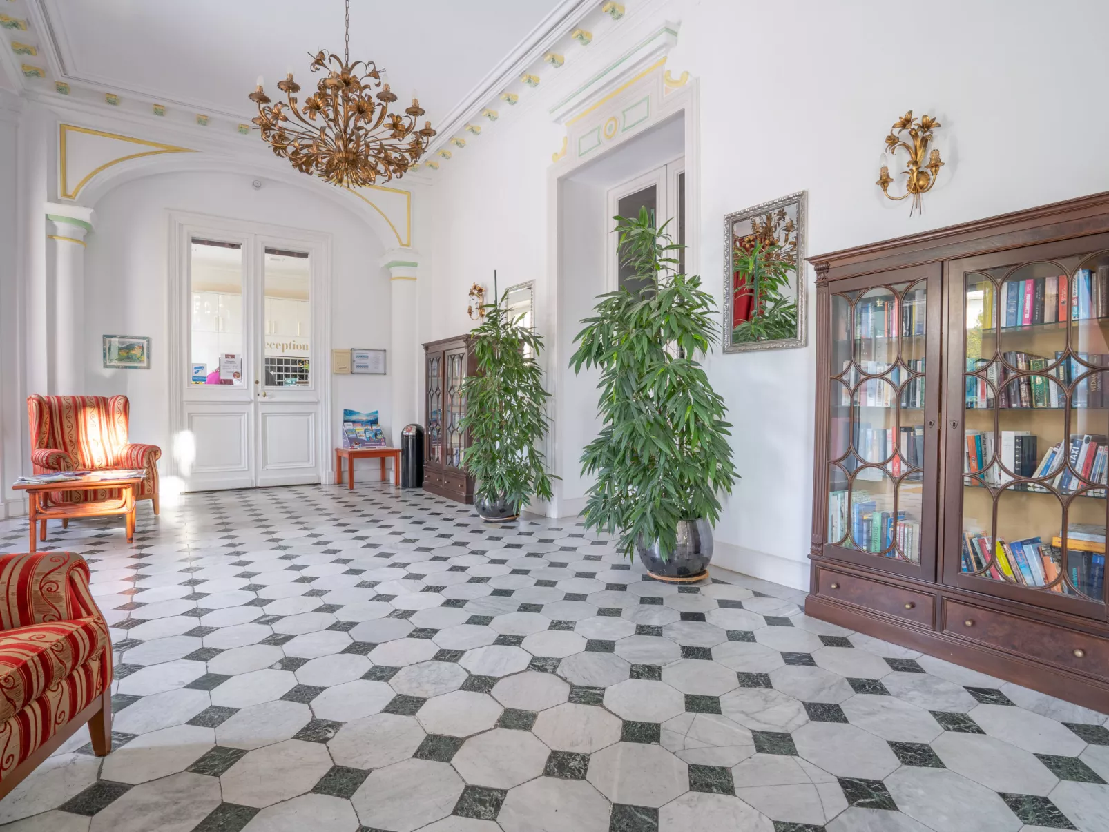 Cannes-Inside