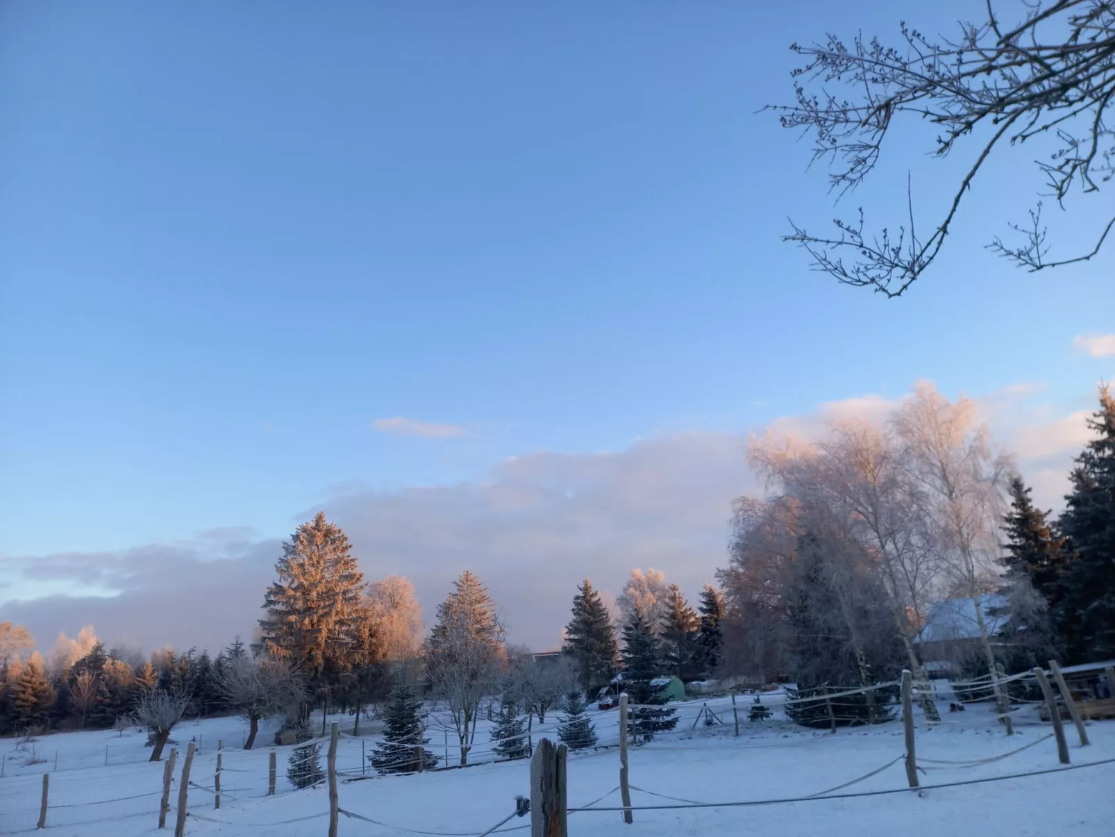 Zum Koppelblick-Draußen
