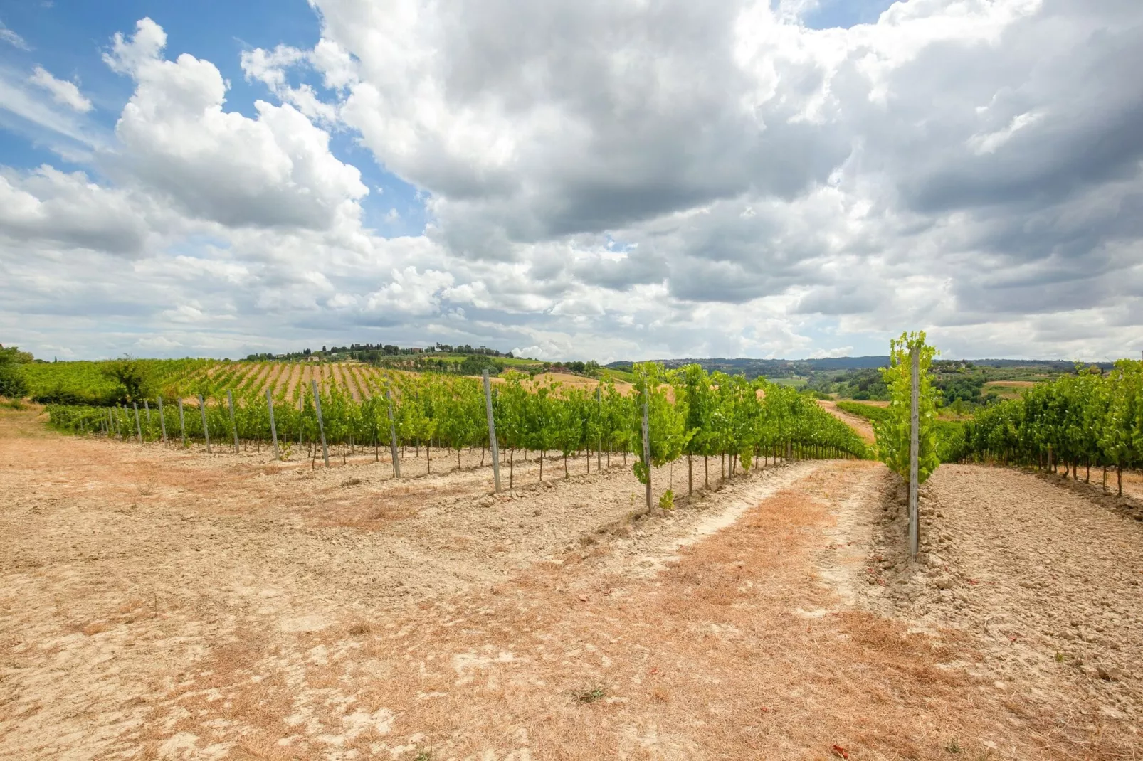 Il Poggiale-app7-8-Areas summer 5km
