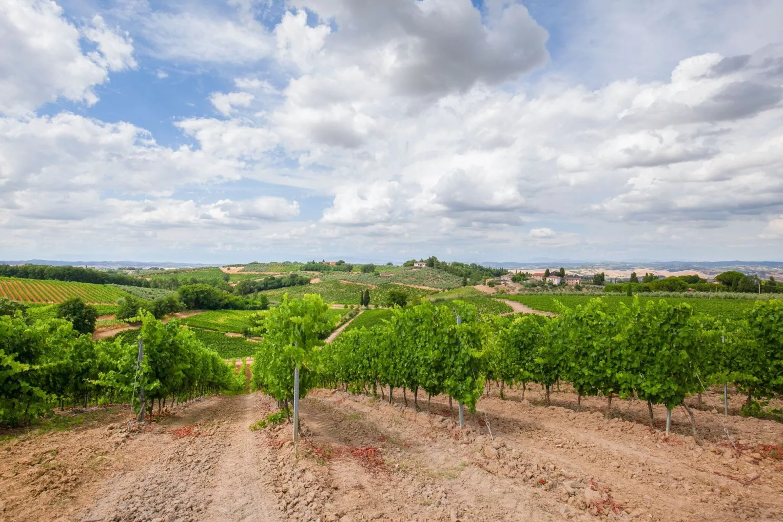 Il Poggiale-app7-8-Areas summer 5km