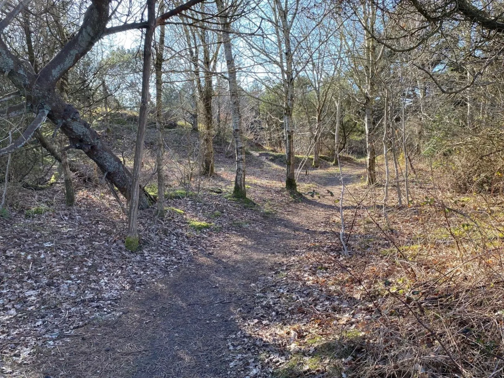 "Karlsefni" - 600m to the inlet-Outside