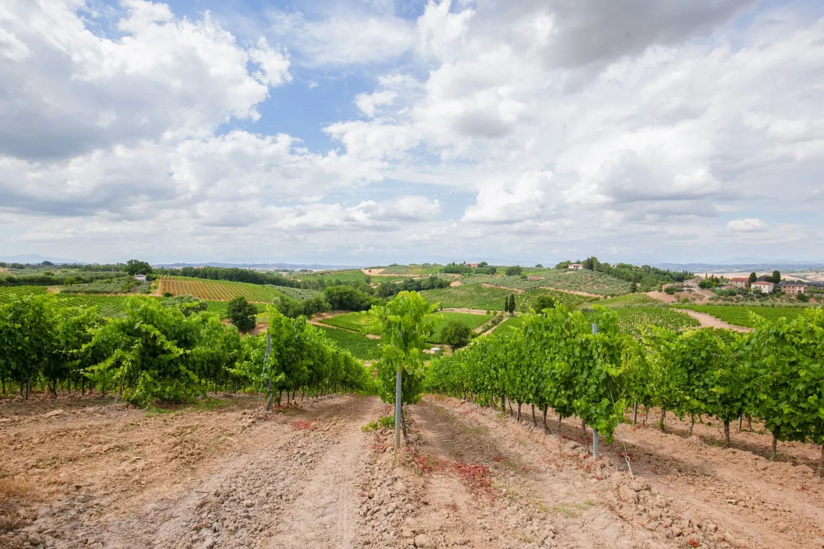 Il Poggiale-app7-8-Areas summer 5km