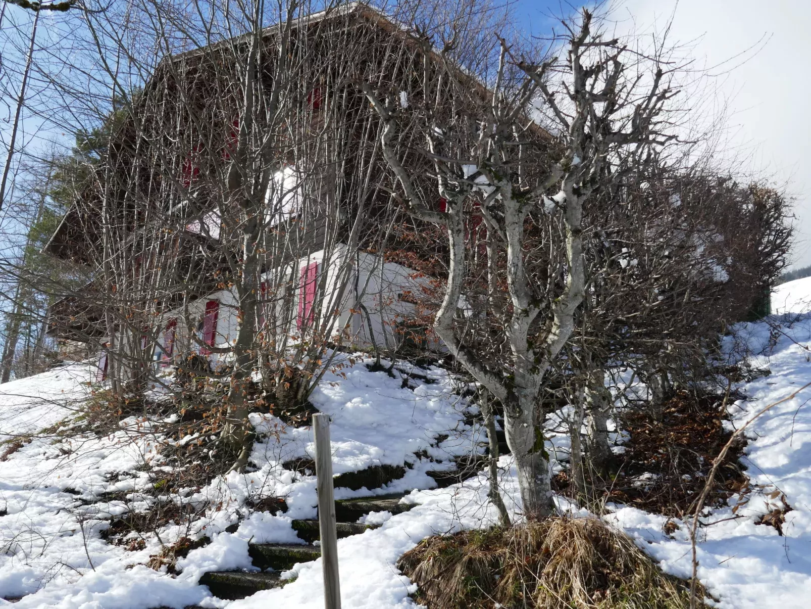 Chalet Colette-Outside