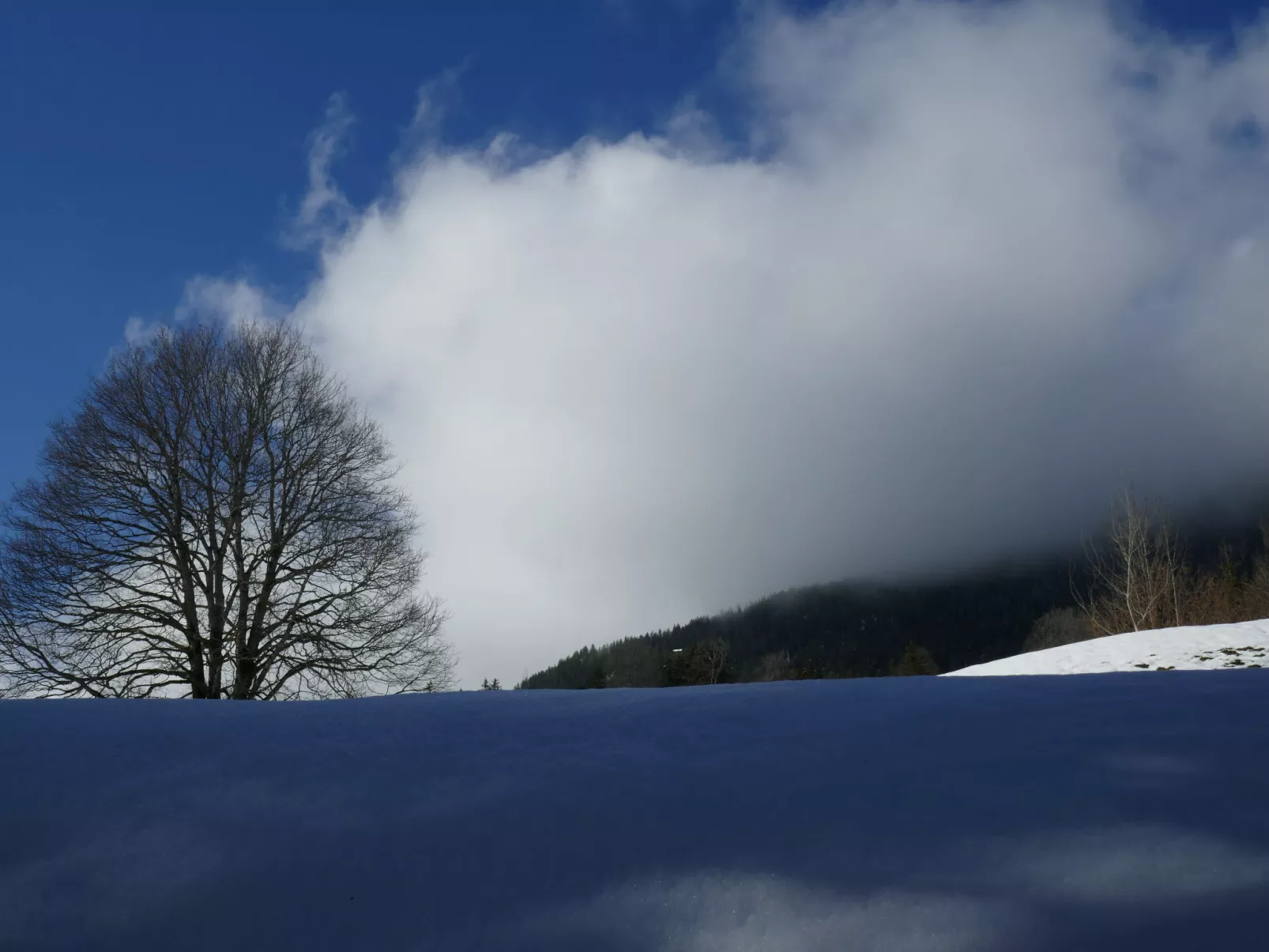 Chalet Colette-Outside