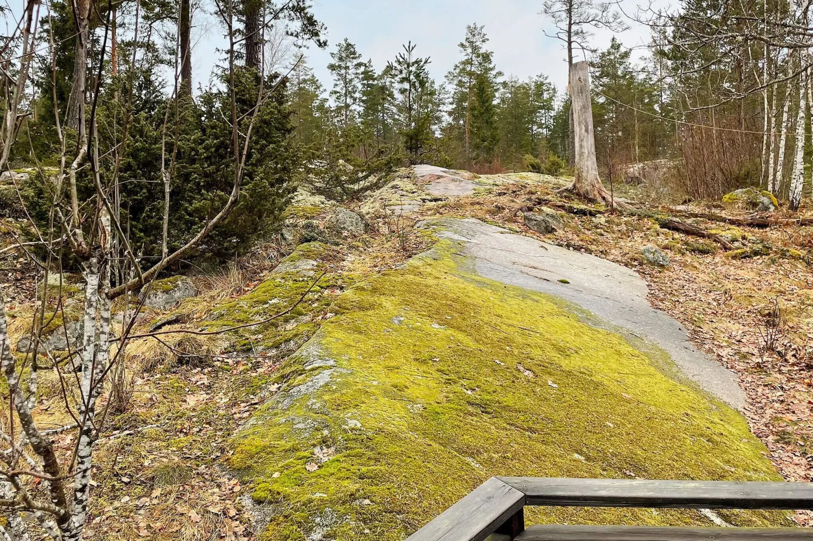 4 person holiday home in Norrtälje-By Traum-Outdoor