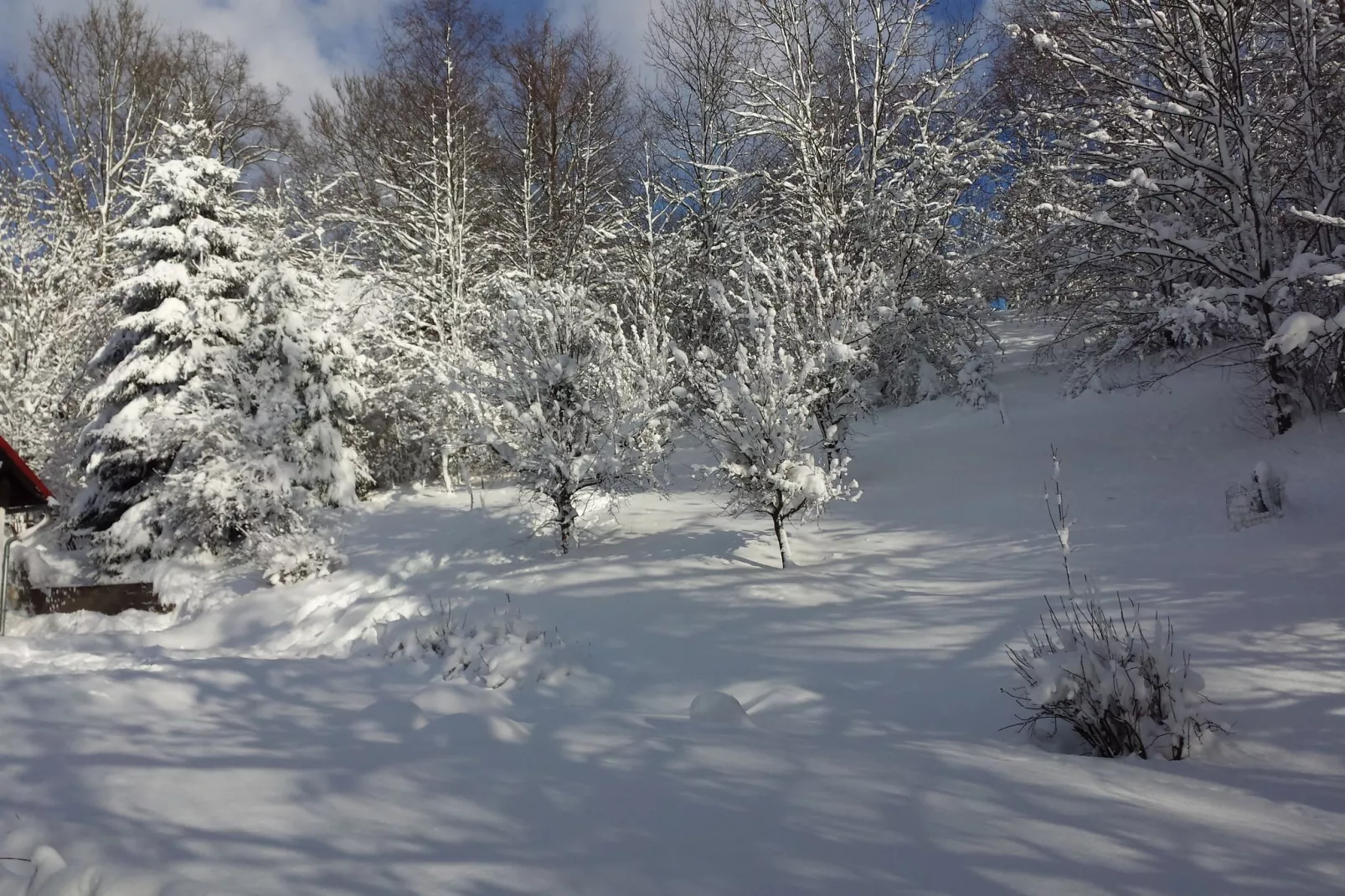 Huis Javornik-Garden winter