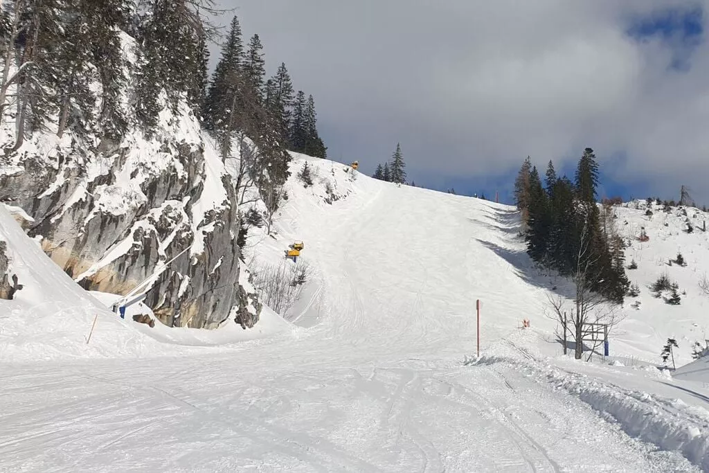 463675-View winter
