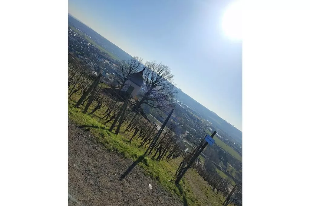 331225-Nicht getaggt