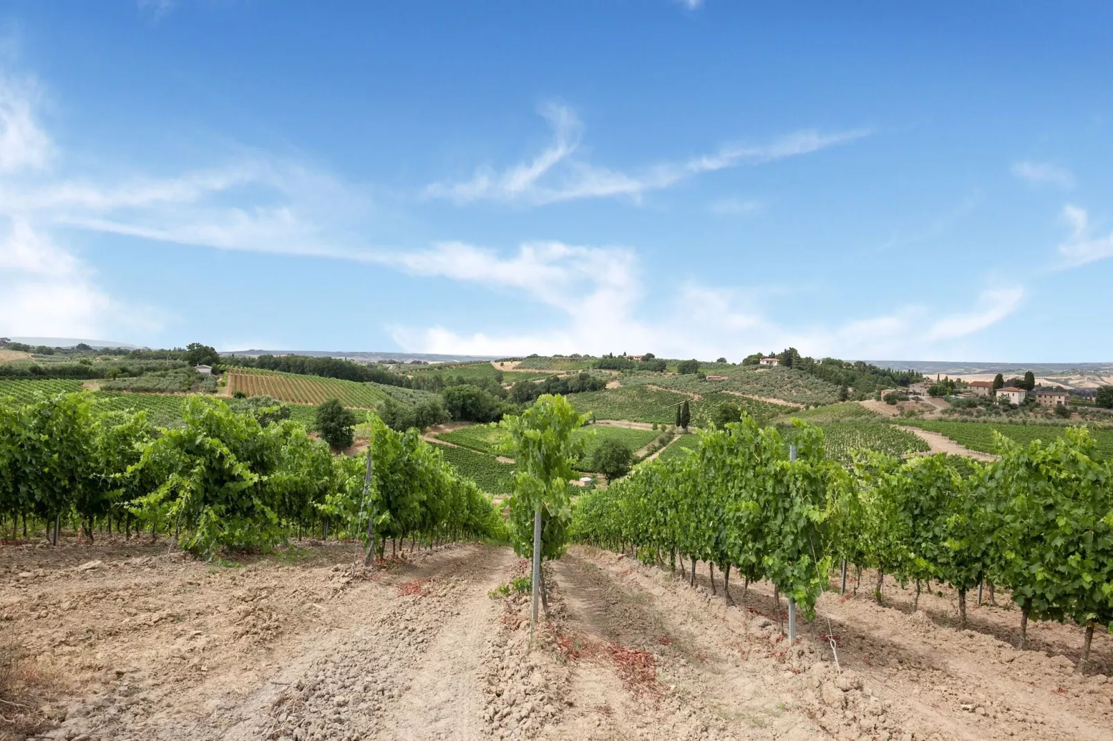 Il Poggiale-app10-Areas summer 5km