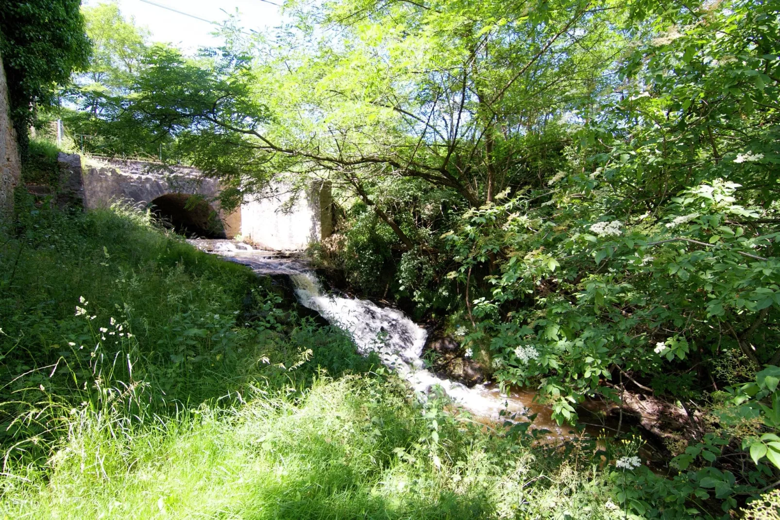 Gite La Forge de Bessous-Gardens summer