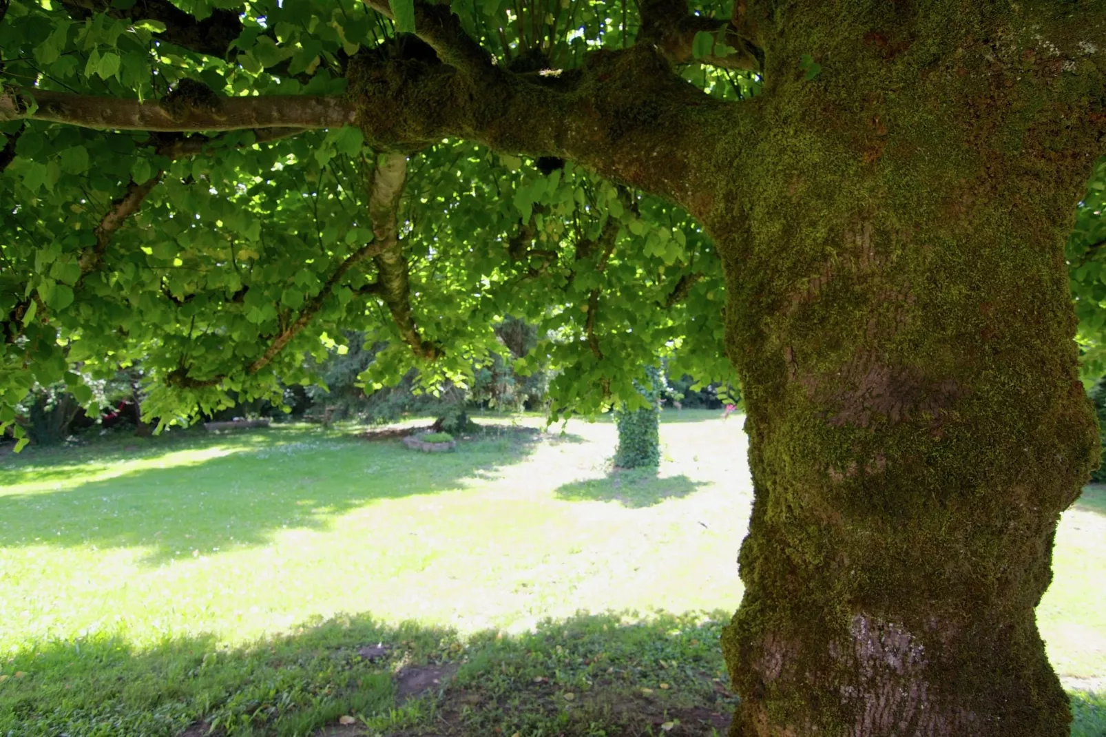 Gite La Forge de Bessous-Gardens summer