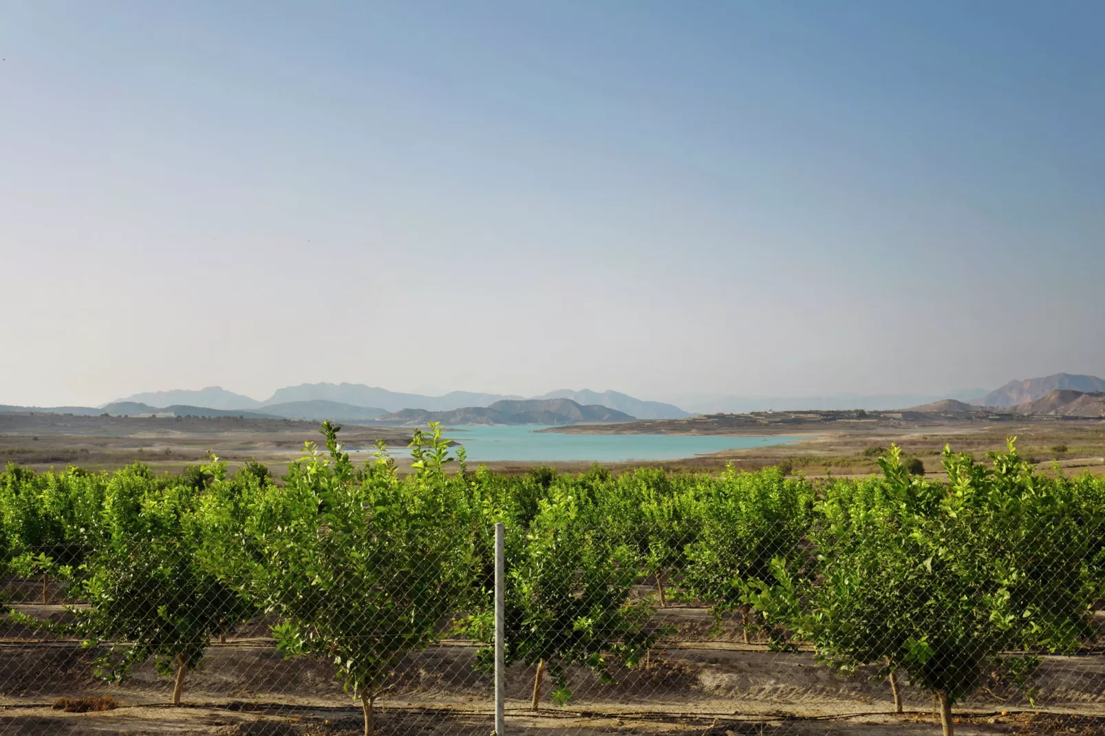 Villa Torremendo-View summer
