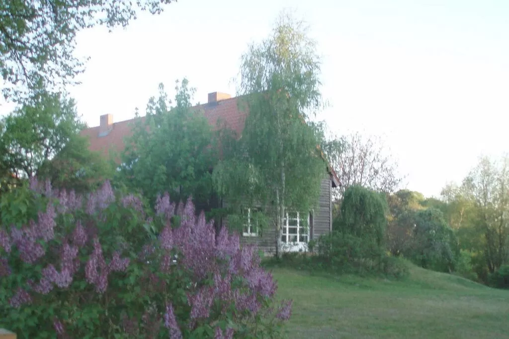 exteriorsummer