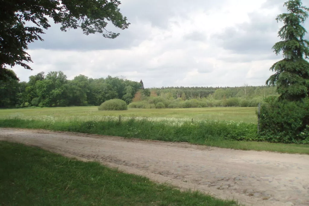 18511-Areas summer 5km