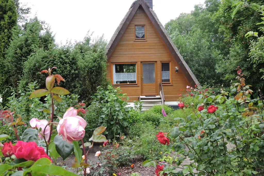 70939-Exterior summer