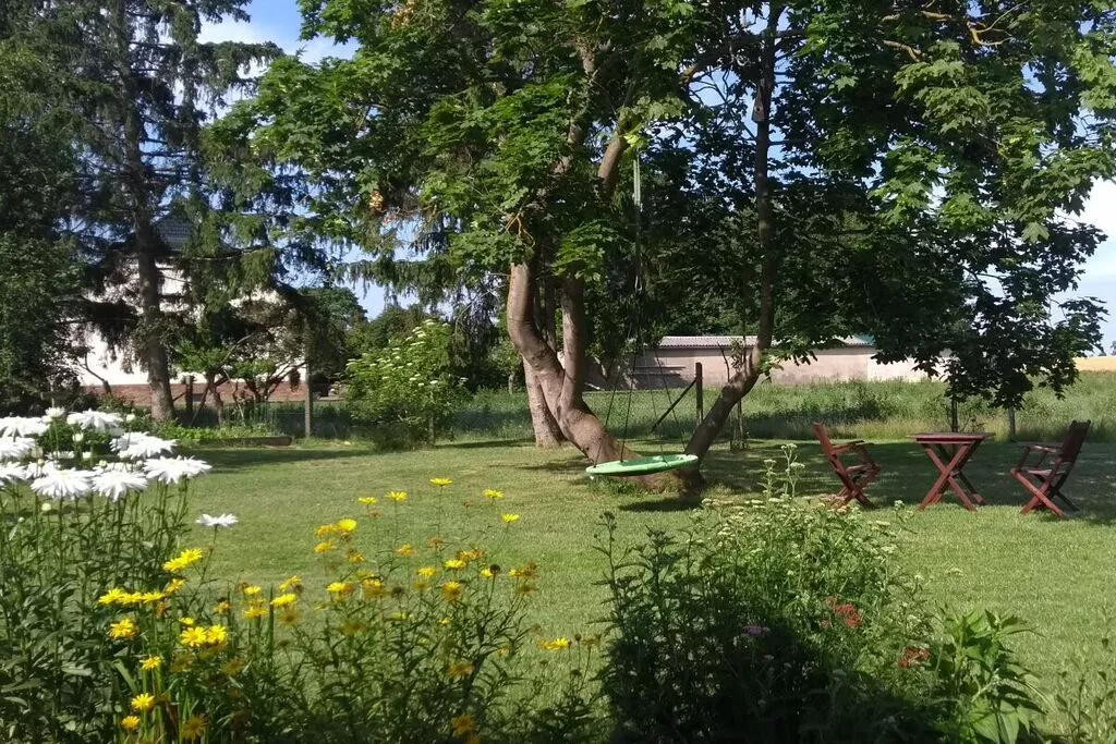 259614-Gardens summer