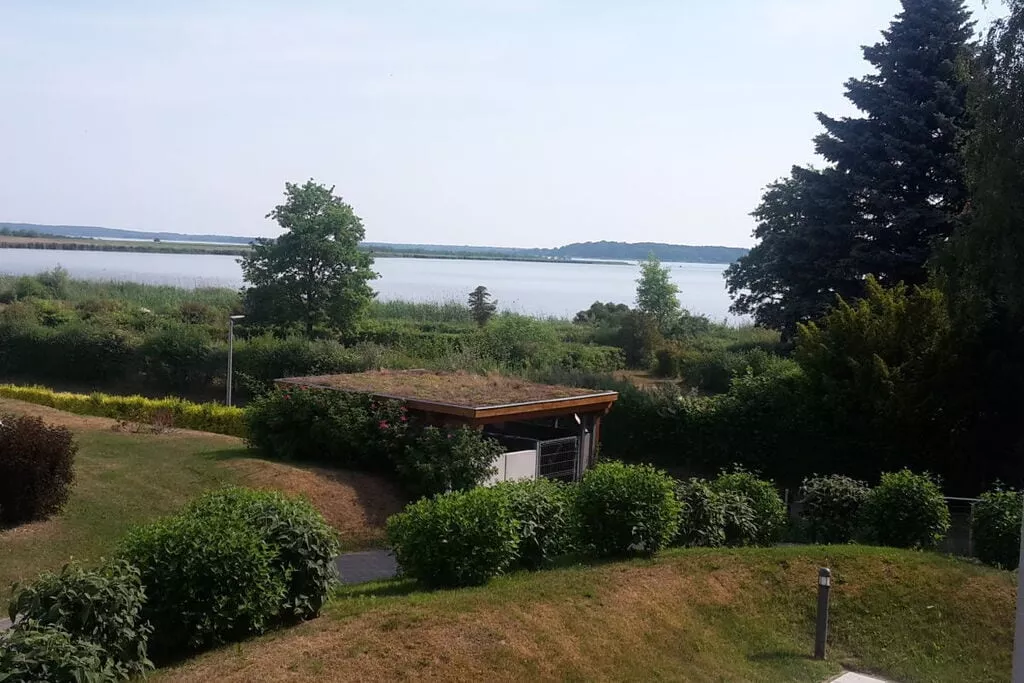 56969-Gardens summer