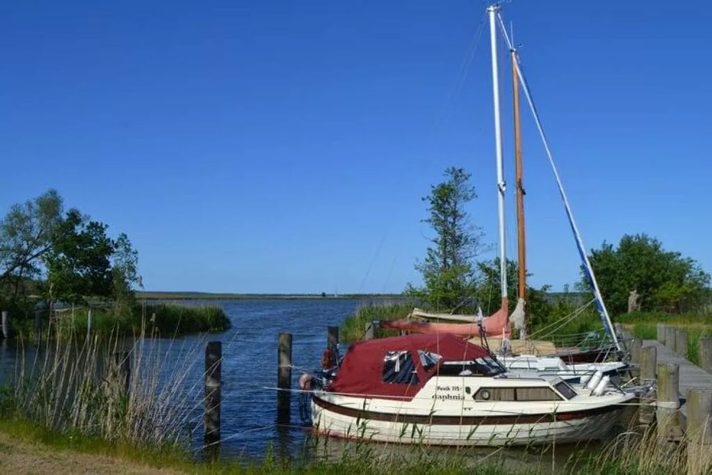56969-Areas summer 5km