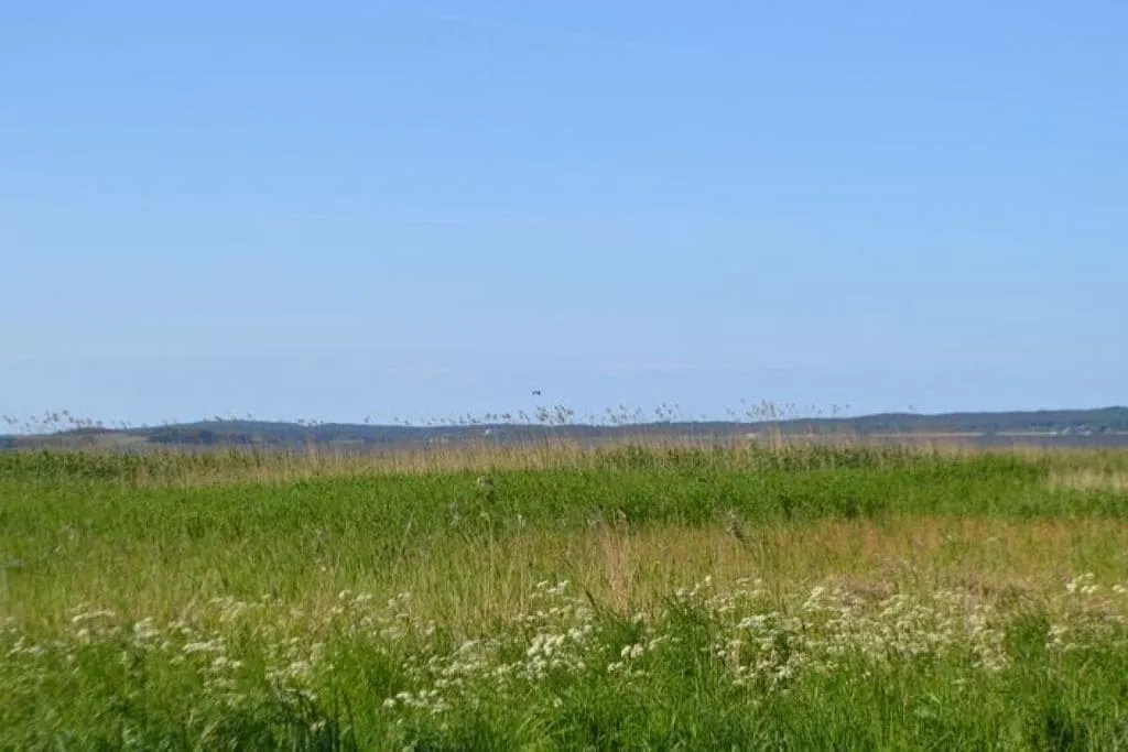 56969-Areas summer 5km