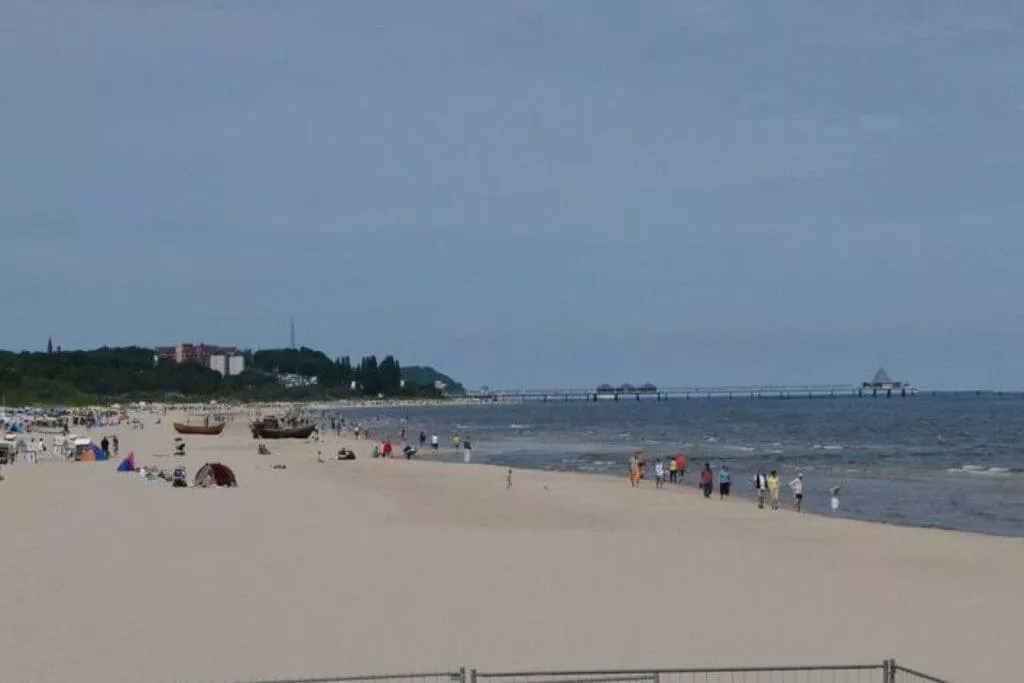 56969-Areas summer 5km
