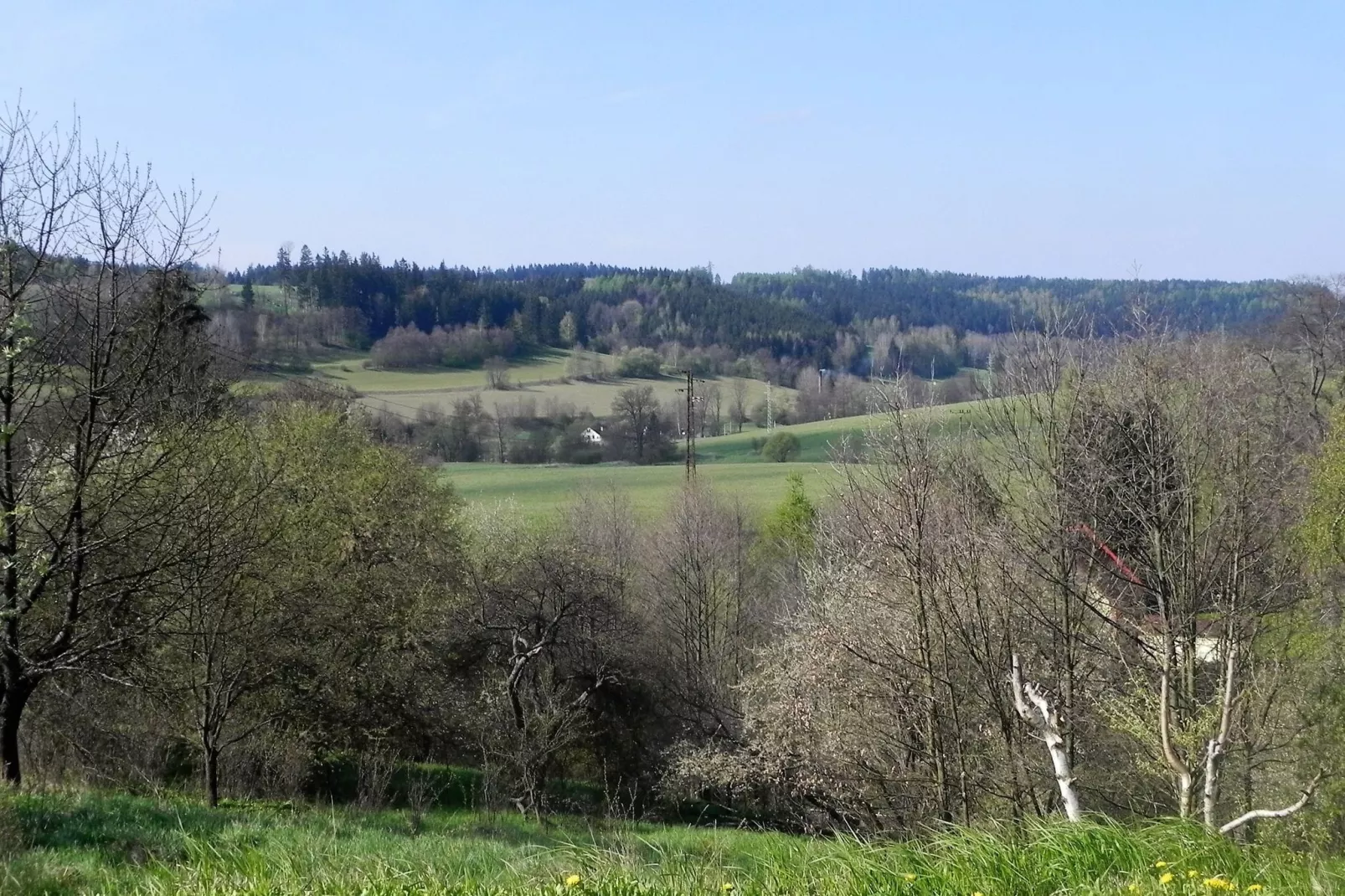 Druzstvo Belvédère-Areas summer 5km