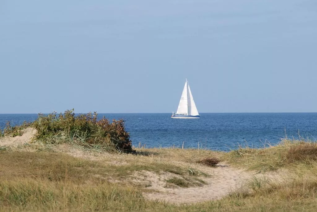 86502-Areas summer 5km