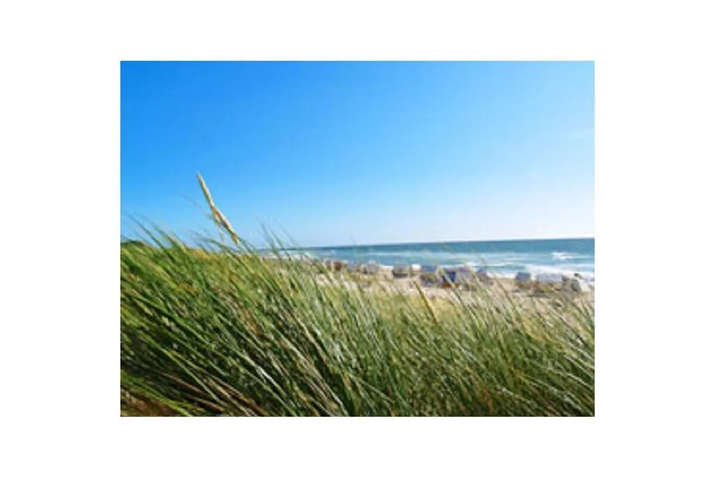 86502-Areas summer 5km