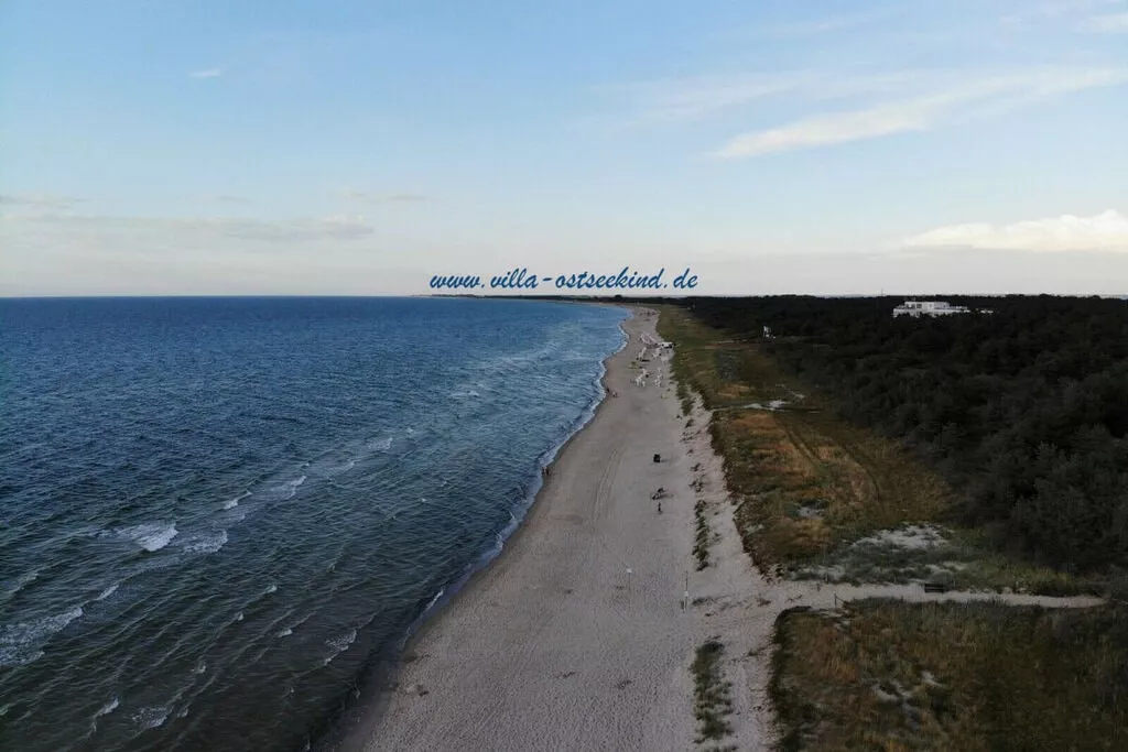 310362-Areas summer 5km