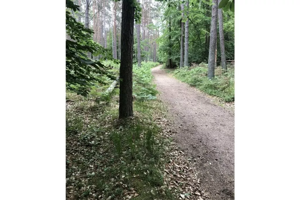 292101-Nicht getaggt