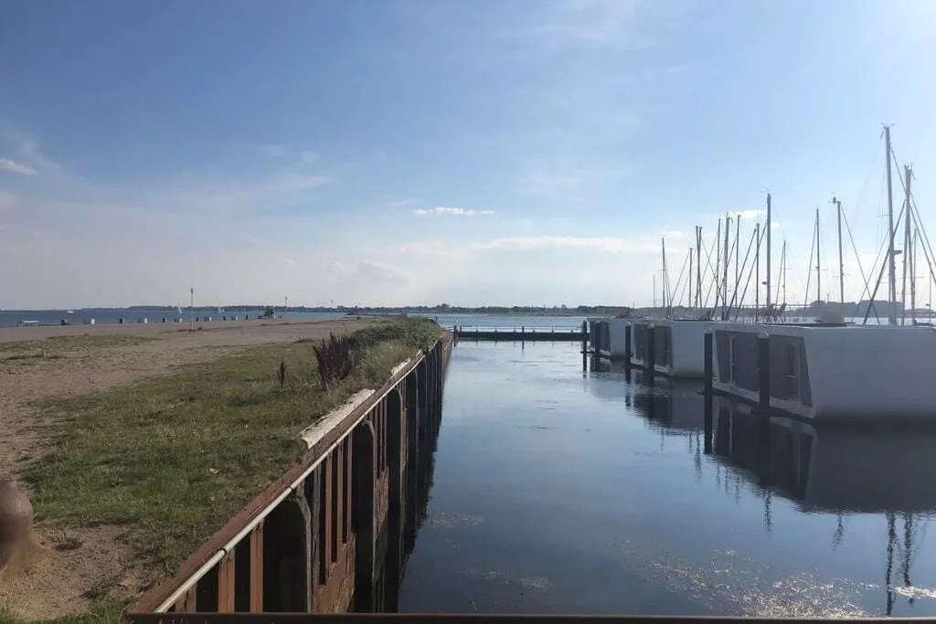 311234-Areas summer 1km