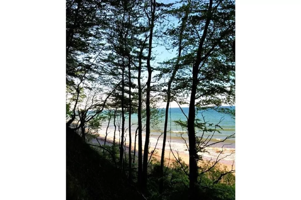 301680-Areas summer 5km