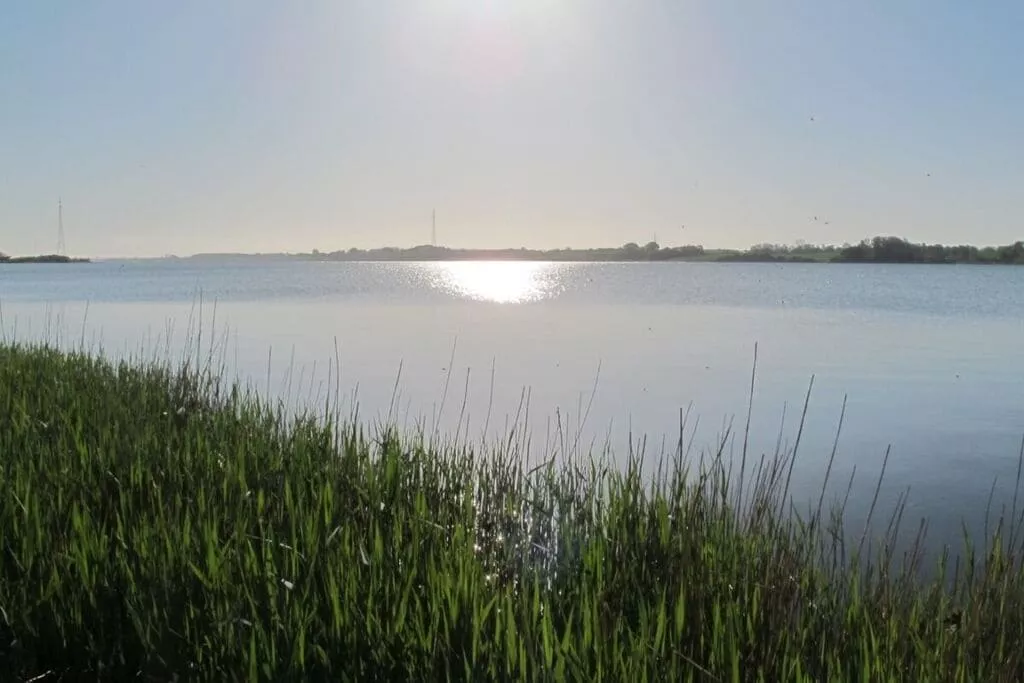288764-Areas summer 5km